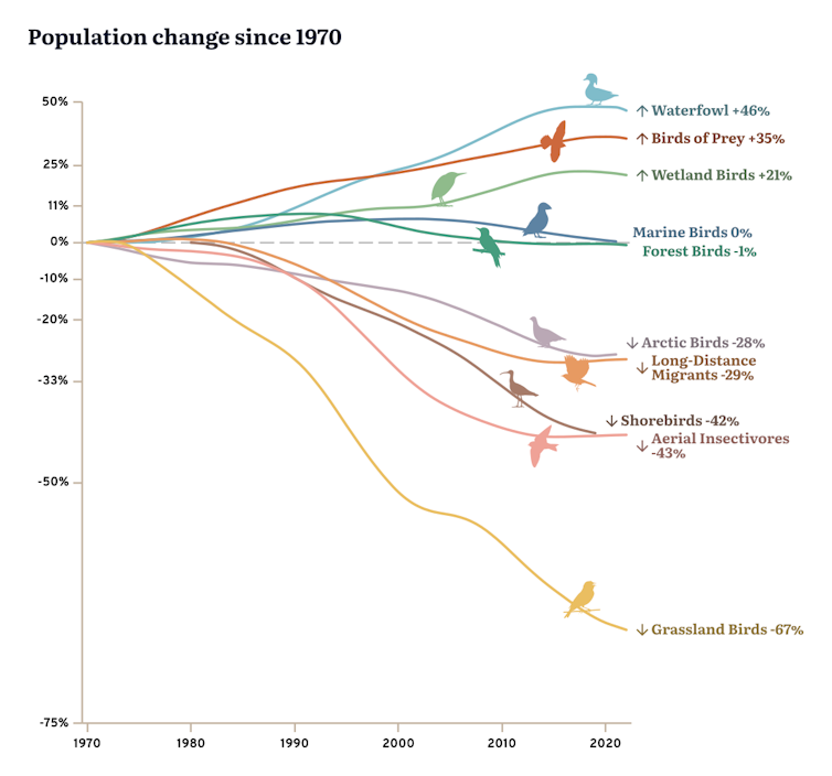 a line graph showing population declines of various bird species